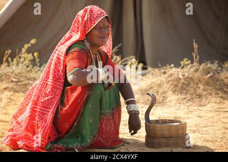 Rajasthani Frau. Snake Charmer, Pushkar, Rajasthan, Indien Stockfoto