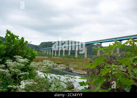 Blick zwischen Pflanzen und Felsen auf die Norman Wood Bridge Über dem Susquehanna River an einem wolkig bedeckten Himmel Stockfoto