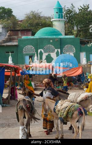 Oromo Frau mit Esel am Markt in der Altstadt, Harar, Äthiopien Stockfoto