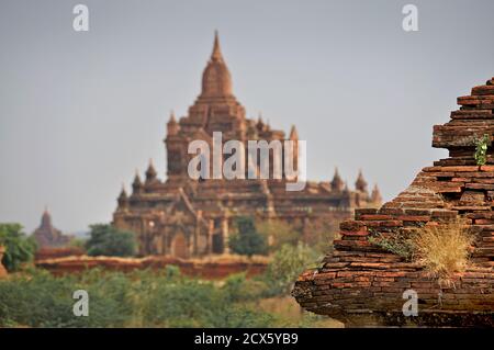 Blick über die Ebenen von Pagan vom alten Tempel. Birma. Bagan, Myanmar Stockfoto