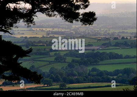 Blick auf Landschaft aus Lewesdon Hügel, in der Nähe von Bridport, Dorset, England Stockfoto