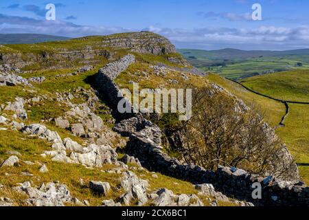 Smearsett Scar ist der höchste Punkt eines super kleinen Kalksteinkamm zwischen Little Staniforth in Ribblesdale und Austwick at Der Fuß von Crummackdal Stockfoto