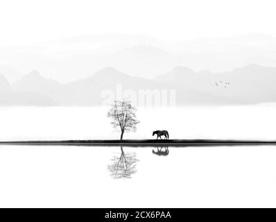 Graustufenaufnahme eines Pferdes, das durch einen umgebenen Pfad geht Durch das Wasser mit einem Baum, der sich darauf spiegelt Stockfoto