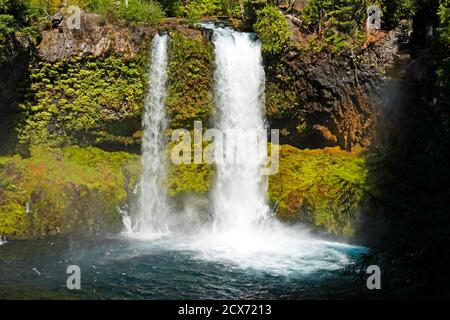 Ein Blick auf die Koosah Falls am McKenzie River in den zentralen Oregon Cascade Mountains. Stockfoto