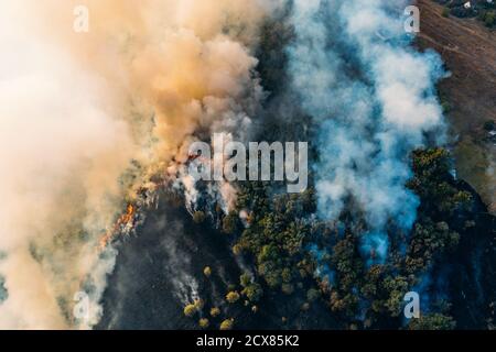 Feuer in der Natur mit Rauch, Luftaufnahme von Drohne. Brennendes trockenes Gras und Bäume. Naturkatastrophe. Stockfoto