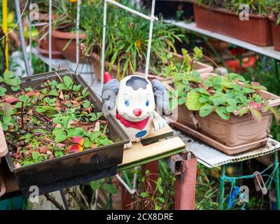 Gartenfigur eines Hundes zwischen verschiedenen Töpfen mit Pflanzen Im Hof Stockfoto