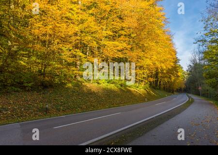 Straße durch wunderschöne Herbstlandschaft bei Graz, Steiermark, Österreich Stockfoto