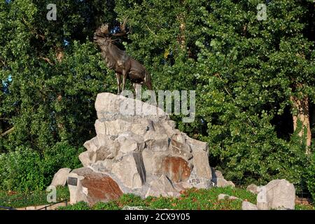 Das Courtrai Newfoundland war Memorial (1914-1918) in Courtrai, Belgien Stockfoto