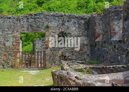 Ruinen in Annaberg Zuckerplantage im Virgin Islands National Park auf Saint John Island, US Virgin Islands, USA. Stockfoto