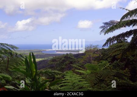 Mündung des Daintree River vom Mt Alexandra Lookout, Daintree National Park, Queensland, Australien Stockfoto