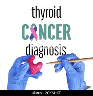Hände des Arztes mit Modell der Drüse auf weißem Hintergrund. Konzept von Schilddrüsenkrebs Stockfoto