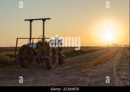Ein alter Bauerntraktor steht im Leerlauf, gebadet durch das Licht der aufgehenden Sonne, auf einer unbefestigten Straße neben einem Fahrerlager, bereit zum Pflügen in Mareeba, Australien. Stockfoto