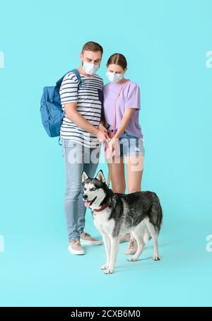 Junges Paar mit medizinischen Masken und niedlichen Husky Hund auf Farbhintergrund. Konzept der Epidemie Stockfoto