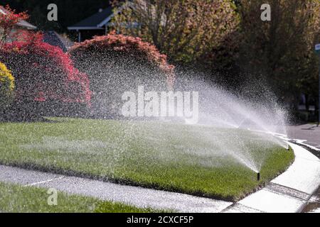 An einem sonnigen Tag sprüht Wasser aus einer automatischen Rasensprinkleranlage über den grünen Rasen. Stockfoto