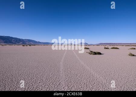 Autowanderwege an der playa de Alvord Desert, Süd-Ogeron. Steens Berge im Hintergrund Stockfoto