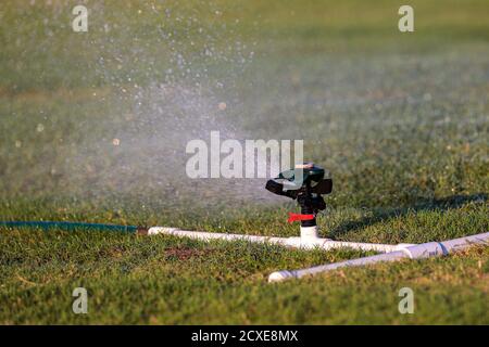 Foto aus nächster Nähe eines automatischen Pralwasser-Sprinklers, der auf einer speziellen Basis aus weißen PVC-Rohren montiert ist, die grünes Gras bewässern. Wasser sprüht aus einem Sprinkler Stockfoto