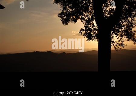 Panoramablick auf die toskanische Landschaft von Montalcino Dorf in der Sonnenuntergangslicht und eine große Baumsilhouette im Vordergrund Stockfoto