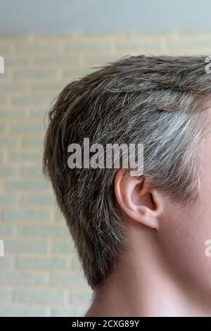 Junger Mann Portrait Nahaufnahme, graue Haare an den Tempeln. Stockfoto