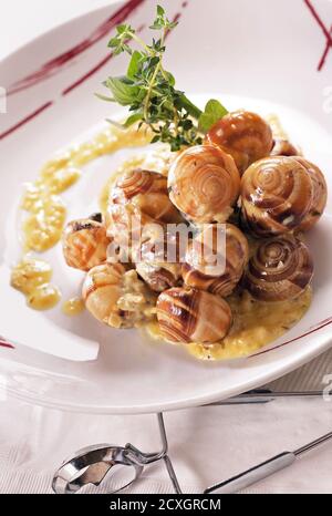 Escargots de Bourgogne: Französische Schnecken mit Kräutern, Knoblauch und Butter Stockfoto