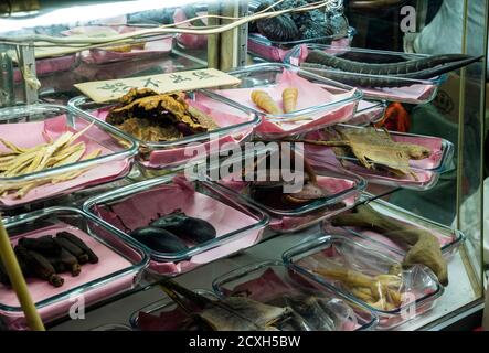 Konservierte Tierteile für die chinesische Medizin, Hongkong, China. Stockfoto