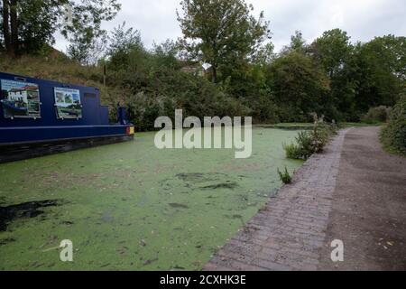 Madeline Kanalboot auf dem Chesterfield Kanal auf einem vertäut Trüber und wolkiger Septembertag Stockfoto