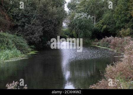 Chesterfield Canal an einem trüben und bewölkten Septembertag Stockfoto