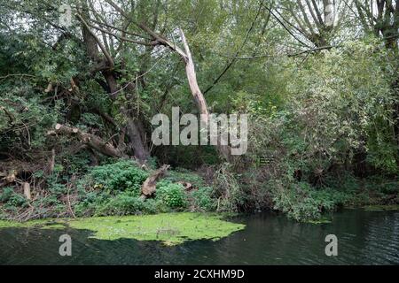 Chesterfield Canal an einem trüben und bewölkten Septembertag Stockfoto