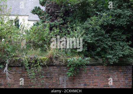 Chesterfield Canal an einem trüben und bewölkten Septembertag Stockfoto