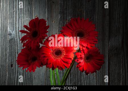 Nahaufnahme Foto von fünf shinny Red Gerbera Blumen auf Holz Hintergrund Stockfoto