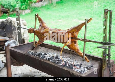 Ganzes Lamm oder Schaf auf dem Grill Stockfoto