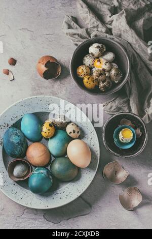 Farbige Ostern blau braun Hühner- und Wachteleier, ganzen und gebrochenen mit Eigelb in der Schale in gefleckte Platte und schwarzen Schalen mit Textil über grau strukturiert Stockfoto