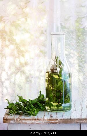 Flasche heißen Kräutertee mit Bündel frischer Minze, auf alten hölzernen Hocker mit Fenster im Hintergrund. Rustikaler Stil, Tageslicht. Stockfoto