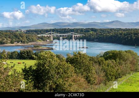 New Menai Bridge, Anglesey, Wales Stockfoto