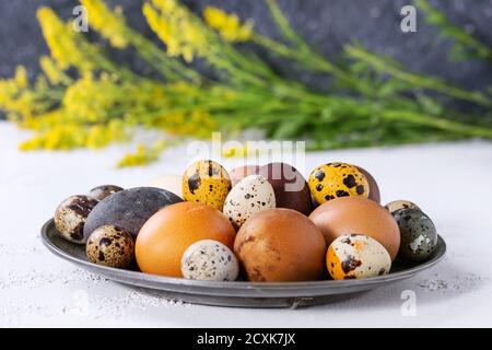 Braune und graue Hühner und Wachtel Ostereier auf Vintage Metallplatte mit gelben Blumen Bouquet über weiß und Graue Betonstruktur Backgroun Stockfoto