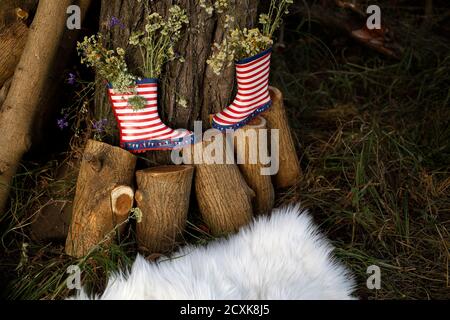 Horizontale Aufnahme der Gartendekoration - rot und weiß gestreifte Stiefel auf Holzstämmen mit wilden Blumen und flauschigen Teppich, Fotosession, Party-Dekor Stockfoto