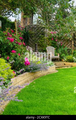 Landschaftlich schöner, sonniger privater Garten (modernes Design, farbenfrohe Sommerblumen, Randpflanzen, Sitzmöbel auf der Terrasse, Rasen) - Yorkshire, England, Großbritannien Stockfoto