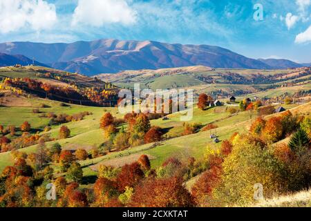 Schöne Berglandschaft an einem sonnigen Tag. Wunderbare Landschaft in der Herbstsaison. Ländliche Felder und Bäume in bunten Laub auf der Ferne Stockfoto