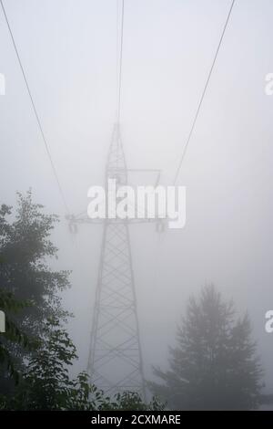 Strommast und Übertragungsleitungen verschwinden im Nebel, Juni Morgendämmerung, Bäume Stockfoto