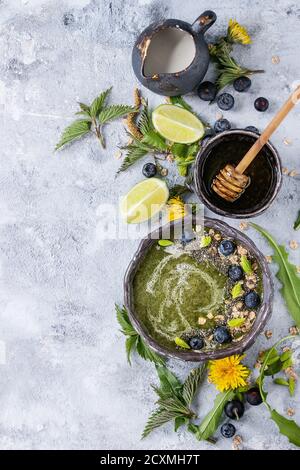 Frühlingsgrün Brennnessel und Löwenzahn Smoothie Schüssel serviert mit gelben Blüten, die jungen Blätter, Haferflocken, Kalk, Chia Samen, Heidelbeeren, Sahne und Honig o Stockfoto