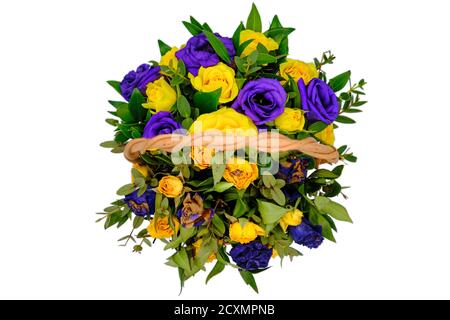 Leben und die toten Blumen. Draufsicht auf einen Strauß getrockneter und lebender Rosen. Konzept der Alterung in einem Korb mit blauen und gelben Blüten. Isolieren Sie auf einem WH Stockfoto