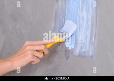 Die Hand einer Frau malt die Wand mit einem Pinsel in Weiß. Lifestyle-Reparaturen in der neuen Wohnung. Malen Sie die Wände selbst, Mädchen Malerin. Stockfoto