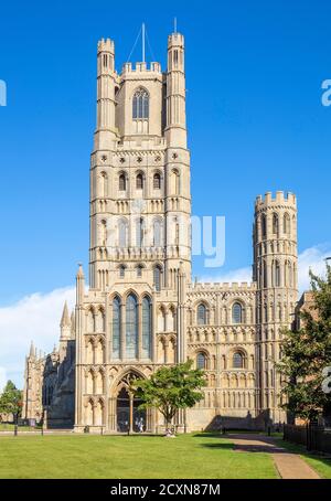 Ely uk Ely Kathedrale oder Kathedrale Kirche des Heiligen Und ungeteilte Trinity von Palace Green Ely Anglikanische Kathedrale Ely Cambridgeshire England GB Stockfoto
