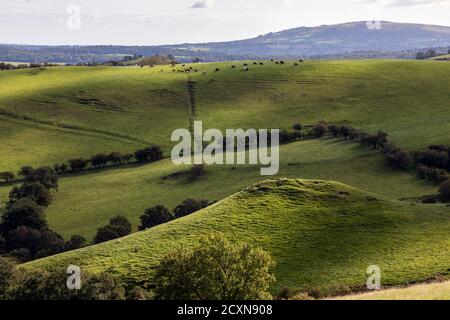 Robins Tump and the Wilderness, Shropshire Hills, in der Nähe von Church Stretton, Shropshire Stockfoto
