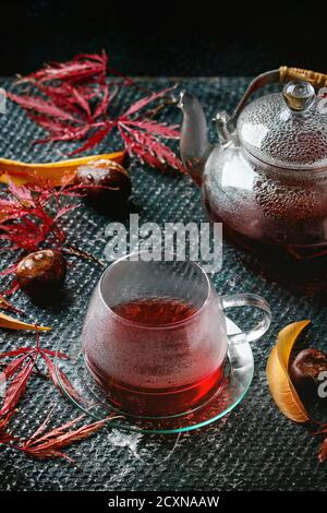 Herbst rote Hibiskus Tee im Glas Tasse und Kännchen auf dunklen nassen Textur Hintergrund mit Herbst Ahorn Blätter und Kastanien. Platz für Text. Stockfoto