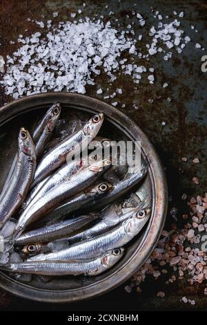 Viele Fische roh frische Sardellen auf zerstoßenem Eis in Vintage Platte mit rosa und Meersalz über alten dunklen Metall Hintergrund. Ansicht von oben. Meer-Essen-Hintergrund Stockfoto