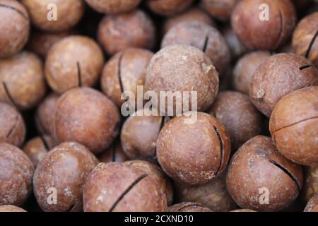 Food Hintergrund der runden ovalen Macadamia-Nuss braun beige schließen Ansicht von oben Stockfoto