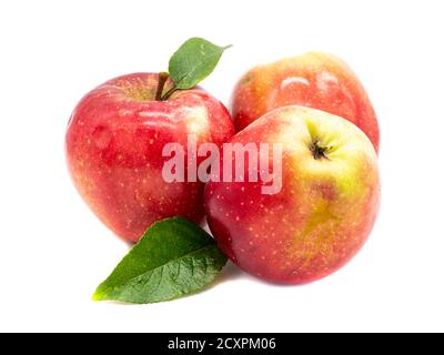 Frische Gartenäpfel isoliert auf weißem Hintergrund Stockfoto