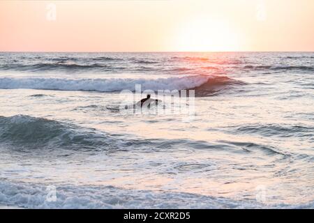 Surfer Mann schwimmen auf dem Brett Eingabe des Meeres zu Surfen Sie bei Sonnenuntergang Stockfoto