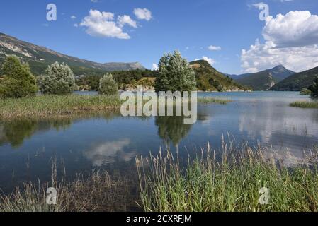 Castillon-See & Reedbeds im Upper Verdon Valley, oder Haut Verdon, Saint André-les-Alpes Alpes-de-Haute-Provence Provence Frankreich Stockfoto