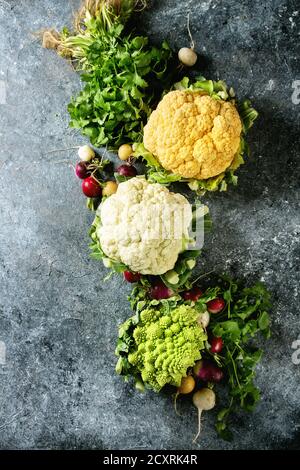 Auswahl an frischen rohen organischen bunten Blumenkohl, Romanesco Kohl und Rettich mit Bündel von koriander über dunkle Textur Hintergrund. Ansicht von oben mit der s Stockfoto
